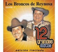 12 Grandes Exitos 2