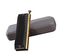 12 Holes 48 Tones C Key Diatonic Harp Harmonica Sound Clear And Melodious Harmonicas for Beginners (Color : 01)