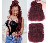 12 Inch Afro Kinkys Curly Human Hair Bulk for Permanent Micro Locs/Twists/Braids/Repair Locs Afro Kinky Curly Bulk Human Hair 99J Burgundy Red Color 50g/pack