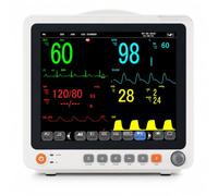 12-Inch Touchscreen Multiparameter Patient Monitor with 5-Lead ECG