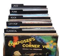 12 Inches Vinyl Record Dividers Black Reusable Record Dividers Card Double-Side Plastic Category Tab DIY Vinyl LP Album Separators for Album Crate and Vinyl DVD Record Organization (5)