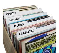 12 Inches Vinyl Record Dividers White Double-Side Plastic Category Tab DIY Vinyl LP Album Separators for Vinyl CD Album Crate and DVD Organization (10)