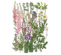 12“ Large Bulk Spring Dried Pressed Flowers with Stem for Crafts Scrapbooking, Real Dry Natural Flower Leaf Fruit for Resin Mold, Cake Decor, Glass Frame, Bookmark(Spring Garden)