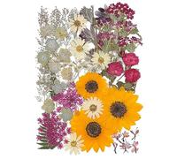 12“ Large Fall Dried Pressed Flowers for Art Crafts, Real Dry Natural Flower Leaf Fruit Bulk for Resin Mold, Cake Decor, Glass Frame (Autumn Sunflower)