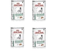 12 Latin 410 g Royal Canin Diabetic Special Wet Food for Dogs