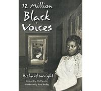 12 Million Black Voices