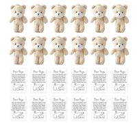 12 Mini Plush Bears Gift Little Pocket Bear Inspirational Bear Hug Gift Card, Small Plush Bears Bulk for Birthday Party Decor Valentine's Day Gift Graduation Party Favors Bag DIY Keychain Crafts
