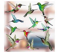 12 Mixed Beautiful Humming Bird Static Cling Window Stickers - Hummingbird Anti Collision Bird Strike Window Stickers - Unique Double Sided Print