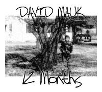12 Months by David Mauk