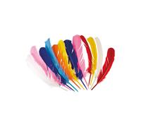 12 Multicolored Indian Feathers 30 cm