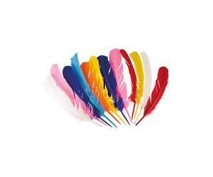 12 Multicolored Indian Feathers 30 cm