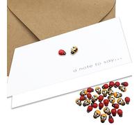 12 Note to Say Cards - Wooden Bee and wooden Ladybird Embellishments