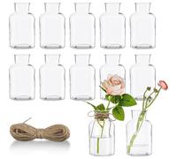 12 Pack Clear Mini Glass Vases for Propagation Stylish Apothecary Design, Ideal for Stems and Buds Centerpiece Decorations for Weddings Baby Shower Table Decor