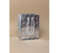 12 Pack Gift Bags Holographic Foil Party Weddings Presents Christmas Bulk Buy (Silver Small H14.5xW11.5xD6.5cm)