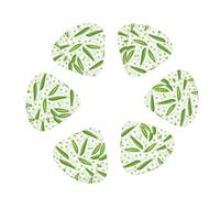 12 Pack green Peas funny Guitar Picks, Bass Electric Acoustic Guitar Ukulele Accessories Includes Thin Medium Heavy Guitar Picks Plectrums with Organizer Storage Box