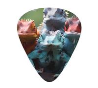 12 Pack Guitar Picks 4 colorful lizards Print Plectrums With Organizer Storage Box Thin Medium Heavy, For Guitar Bass