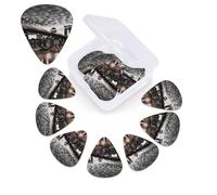 12 Pack Guitar Picks Plectrums with Organizer Storage Box Brooklyn Bridge Guitar Pick Thin, Medium & Heavy Bass Picks for Electric Acoustic Ukulele Guitars Gift for Men Women