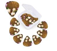 12 Pack Guitar Picks Plectrums with Organizer Storage Box Candles and Orchids Guitar Pick Thin, Medium & Heavy Bass Picks for Electric Acoustic Ukulele Guitars Gift for Men Women