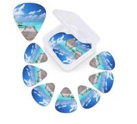 12 Pack Guitar Picks Plectrums with Organizer Storage Box Maldives Holidays Guitar Pick Thin, Medium & Heavy Bass Picks for Electric Acoustic Ukulele Guitars Gift for Men Women
