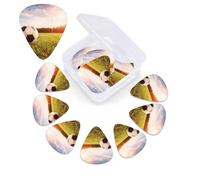 12 Pack Guitar Picks Plectrums with Organizer Storage Box Soccer Ball on A Field Guitar Pick Thin, Medium & Heavy Bass Picks for Electric Acoustic Ukulele Guitars Gift for Men Women