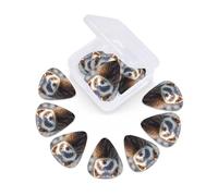 12 Pack Guitar Picks With Organizer Box Hairy Ferret Bass Picks Thin, Medium & Heavy 3 Different Thickness Celluloid Plectrums For Electric Acoustic Guitars Ukulele Bass, Guitar Gifts