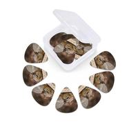 12 Pack Guitar Picks With Organizer Box Squirrel Just Laying Bass Picks Thin, Medium & Heavy 3 Different Thickness Celluloid Plectrums For Electric Acoustic Guitars Ukulele Bass, Guitar Gifts