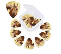12 Pack Guitar Picks with Organizer Storage Box, 0.46mm, 0.71mm, 0.96mm Thin Medium Heavy Bass Plectrum, Funny Squirrel Guitar Picks for Acoustic Ukulele Guitar Accessories