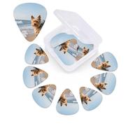 12 Pack Guitar Picks with Organizer Storage Box,Thin, Medium & Heavy 3 Different Thickness Guitar Pick Yorkshire Terrier on Beach Bass Plectrums for Ukulele Acoustic Guitar Accessories