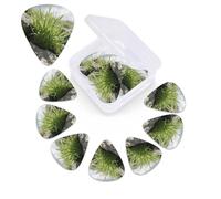 12 Pack Guitar Picks with Organizer Storage Box,Thin, Medium & Heavy 3 Different Thickness Guitar Pick Wildflowers on the grassland Bass Plectrums for Ukulele Acoustic Guitar Accessories