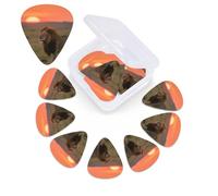 12 Pack Guitar Picks with Organizer Storage Box,Thin, Medium & Heavy 3 Different Thickness Guitar Pick Lion on African Savannah Bass Plectrums for Ukulele Acoustic Guitar Accessories