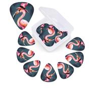 12 Pack Halloween Flamingo Witch Hat Guitar Picks with Organizer Storage Box, 3 Different Thickness Celluloid Guitar Pick Abstract Art Pics Plectrum for Acoustic Electric Guitar, Ukulele, Bass
