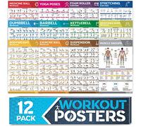 [12-PACK] Laminated Large Workout Poster Set - Perfect Workout Posters for Home Gym - Exercise Charts Incl. Dumbbell, Yoga Poses, Resistance Band, Kettlebell, Stretching & More Fitness Gym Posters