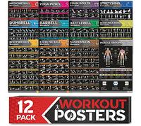 [12-PACK] Laminated Large Workout Poster Set - Perfect Workout Posters for Home Gym - Exercise Charts Incl. Dumbbell, Yoga, Resistance Band, Kettlebell, Stretching & More Fitness Gym Posters
