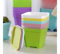 12 Pack Lightweight Plastic Plant Containers with Drainage Openings and Matching Trays for Tabletop Window Sill Use (pink)