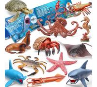12 Pack Ocean Sea Animal Toys with Educational Booklet for Kids, Realistic Soft Plastic Sea Creatures Model Figures for Toddler Boys Girls, Under the Sea Party Favor, Birthday Gifts water tableToy