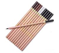 12 Pack Professional Charcoal Coloured Pencil Set White Black Brown Tinted Sketch Pencils Drawing Set Art Painting Supplies Pencils for Drawing, Sketching, Shading Chalk Pencils for Beginner & Artist