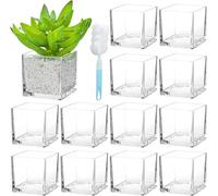 12 Pack Square Glass Vases, 3” x 3” Clear Cube Flower Vases Cube Candle Holder with Sponge Brush for Wedding Centerpieces Home Decor Events