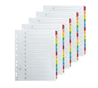 12-Part Index Folder Dividers A4 - Double-Sided Numbered Tabs on 230 µm White Card - Reinforced Mylar Colour Tabs - Multi-Punched 11-Hole A4 Ring Binder/Lever Arch File Dividers (5)
