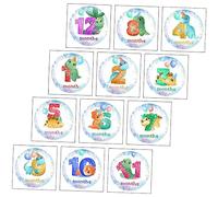 12 Pcs Baby Monthly Milestone Stickers Photo Props Paper | Baby Clothes, Growth Recording Keepsakes, Newborn Photography Use, Parent-friendly Set for Monthly Marking