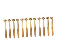 12 Pcs Bass Pickup Mounting Screws for PB JB Pickups Golden