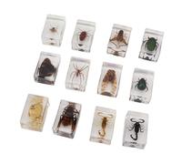 12 Pcs Bugs in Resin, Transparent Resin Bugs Specimens Various Real Bugs Preserved in Resin for Kids Scientific Educational Supplies Bugs Display