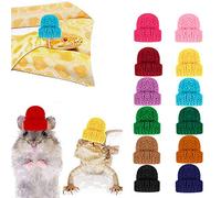 12 Pcs Cute Small Animal Hat with Adjustable Elastic Chin Strap, Snake Hamster Lizard Guinea Pig Knitted Hat Small Pet Reptile Decoration Supplies Lovely Headwear Christmas Accessories (12 Pcs)