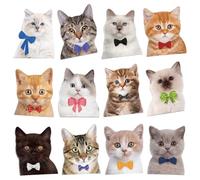 12 Pcs Funny Fridge Magnets,Cute Meme Cat Stickers Pack,Cute Soft Magnetic,Strong Decorative Magnet,Waterproof Stickers for Whiteboard,Car,Kitchen,Office,Luggage