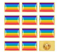 12 PCS Gay Pride Badge, Vivid Color Rainbow Flag Women Men Pride Pin Badge Gay Pride Accessories, Reusable Pride Pins Rainbow Enamel Pins for Lapels, Hats, Pride Decorations