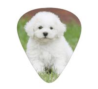 12 Pcs Guitar Bichon Frise Dog Print Picks With Organizer Box,3 Different Thickness,Guitar Accessories(0.46mm,0.71mm,0.96mm)