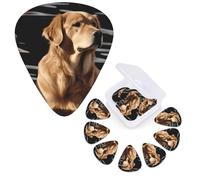 12 Pcs Guitar Picks 3 Different Thickness Guitar Plectrums Golden Retrievers Guitar Picks Personalized Guitars Bass Pick Electric Guitar Pick with Storage Box Plectrum for Acoustic