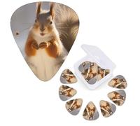 12 Pcs Guitar Picks 3 Different Thickness Guitars Plectrums Squirrel Funny Animal Guitar Picks Personalized Guitars Bass Pick Electric Guitar Pick with Storage Box Plectrum for Acoustic
