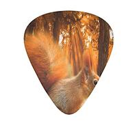 12 Pcs Guitar Picks Cute Squirrel Eating Nuts 3 Different Thicknesses, Classic Triangle, For Acoustic Guitar, Electric Guitar, Bass Guitar