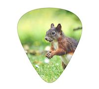 12 Pcs Guitar Picks Cute Squirrel Guitar Plectrums Includes Thin, Medium & Heavy Gauges 3 Sizes For Ukulele With Organizer Storage Box