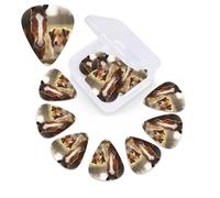 12 PCS Guitar Picks for Acoustic Guitar with Organizer Storage Box Bass Pick Collie Dog and Horse Together Personalized Guitar Pick Celluloid plectrums 0.46 mm 0.71 mm 0.96 mm for Ukulele